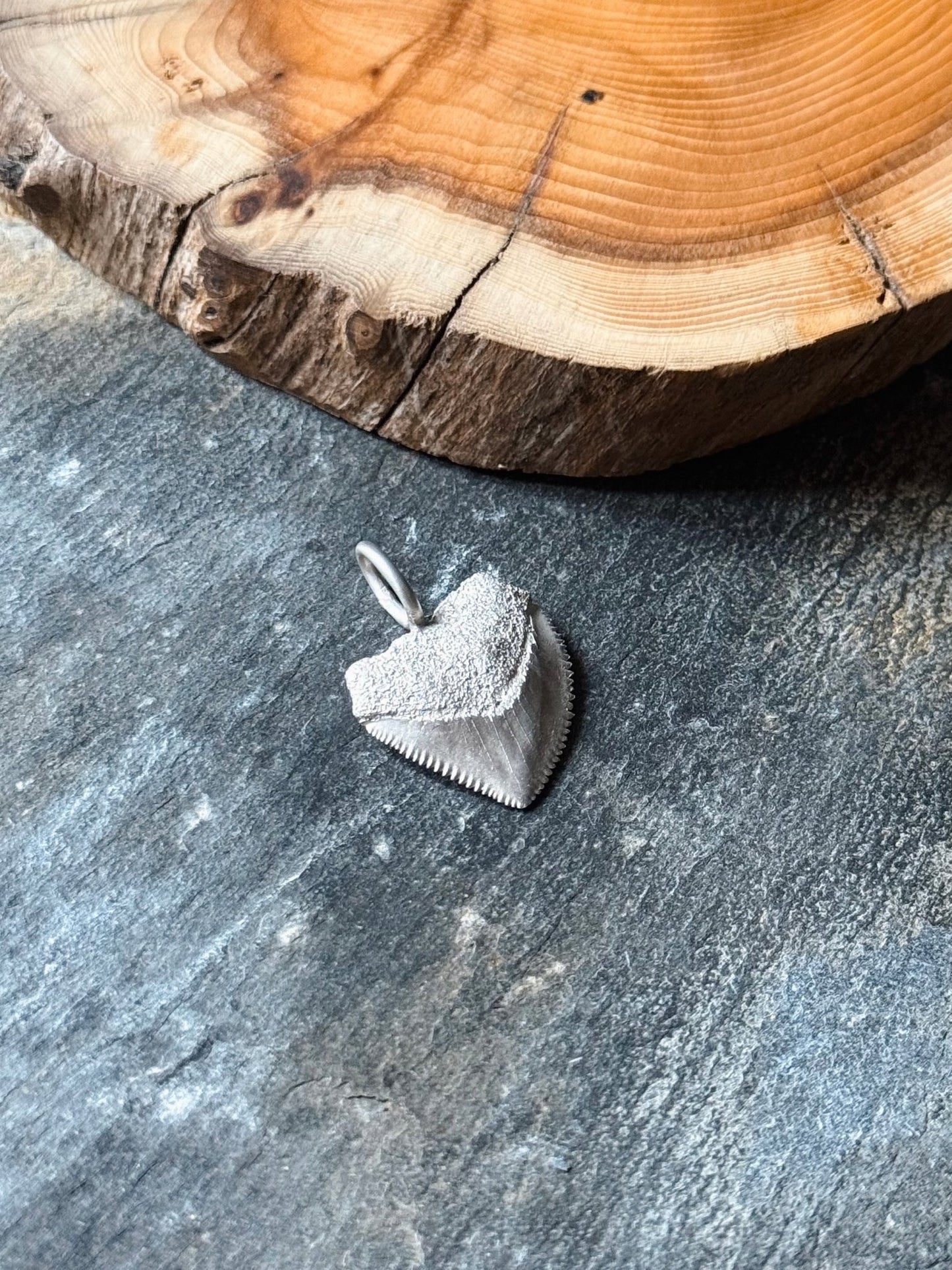 Crow Shark Tooth Talisman - Relic