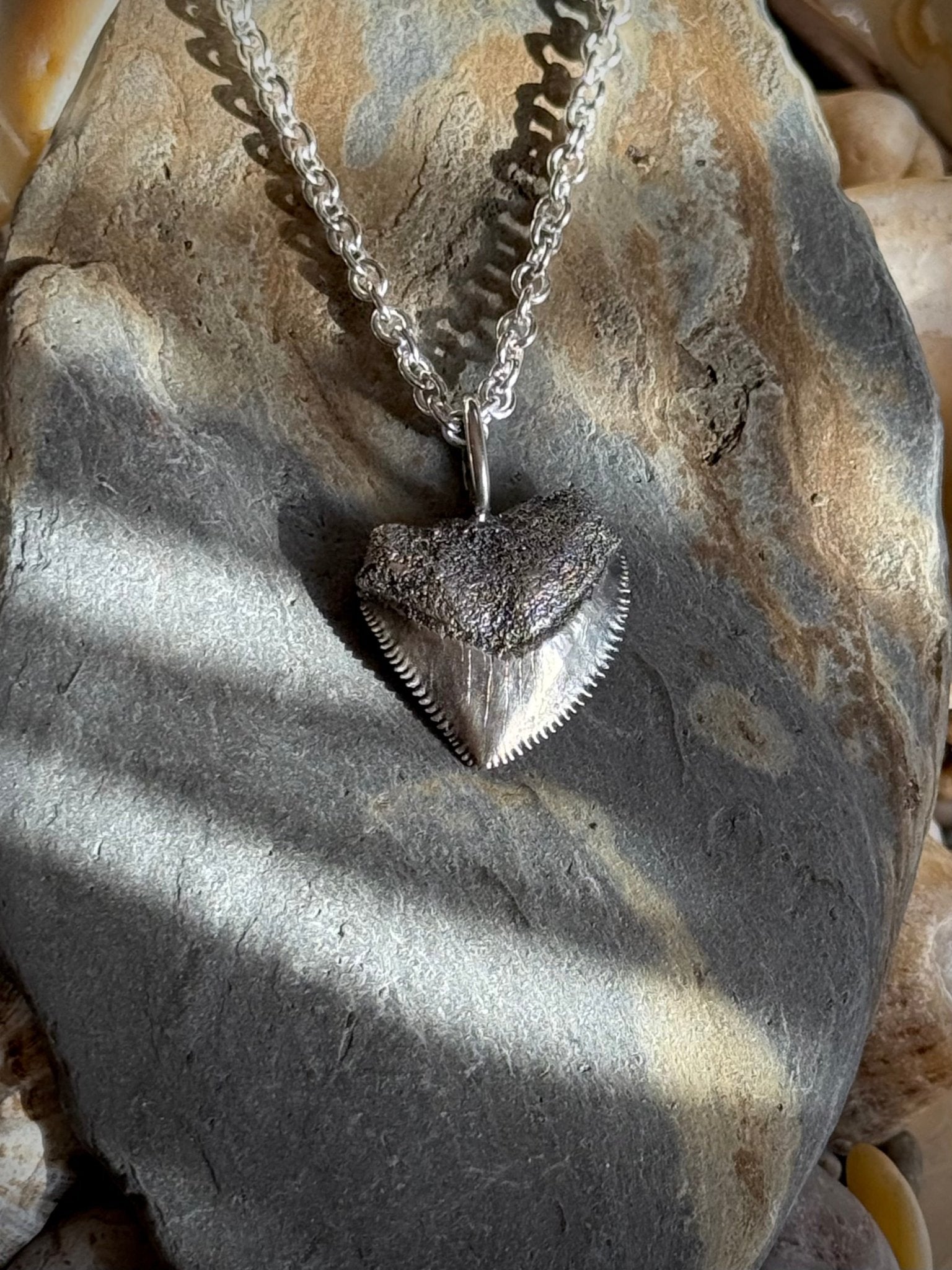 Crow Shark Tooth Talisman - Relic