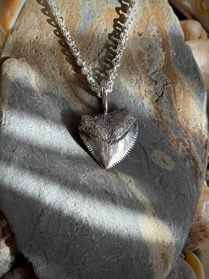 Crow Shark Tooth Talisman - Relic