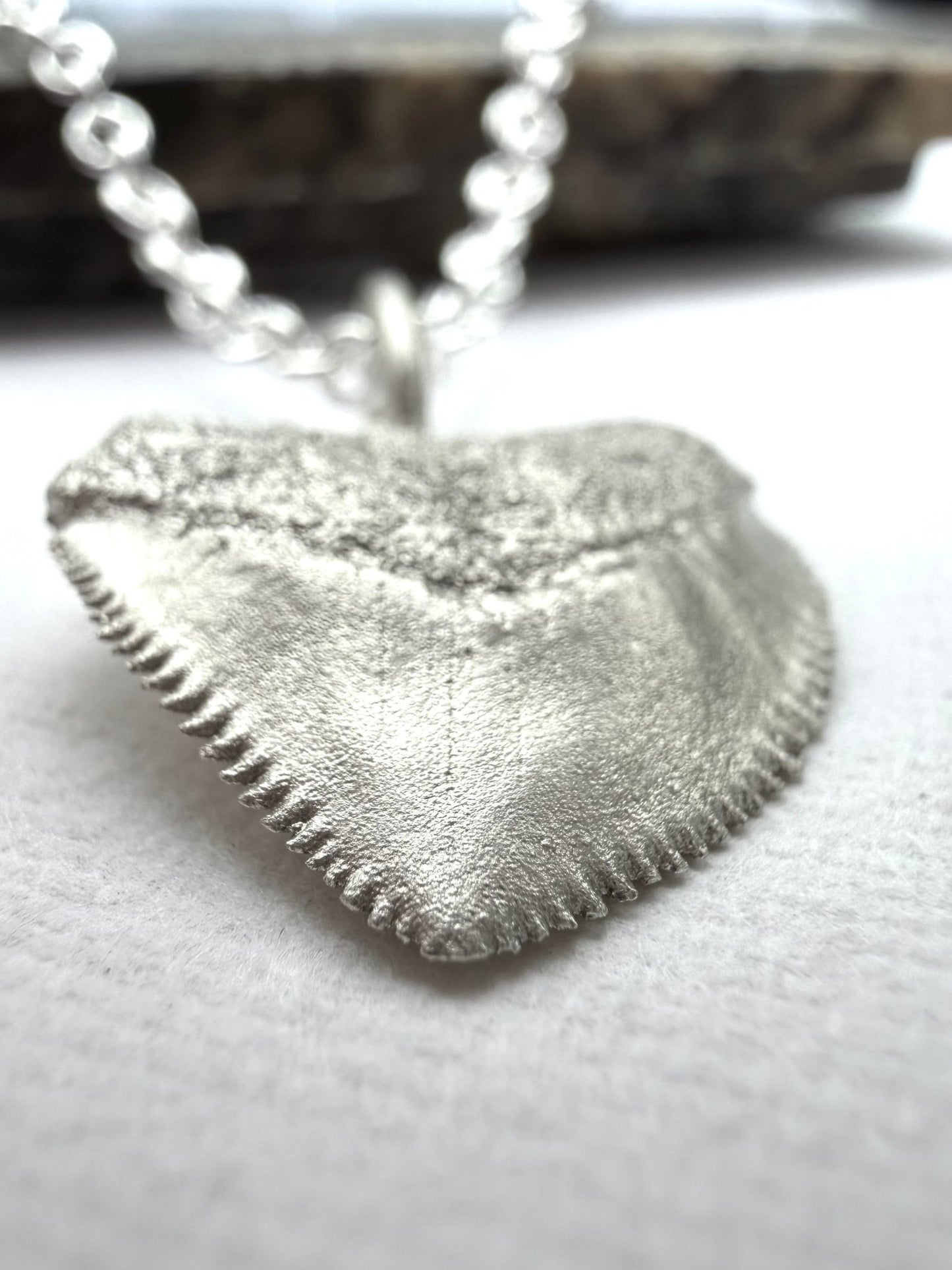 Crow Shark Tooth Talisman - Relic