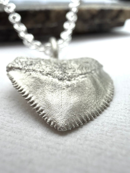 Crow Shark Tooth Talisman - Relic