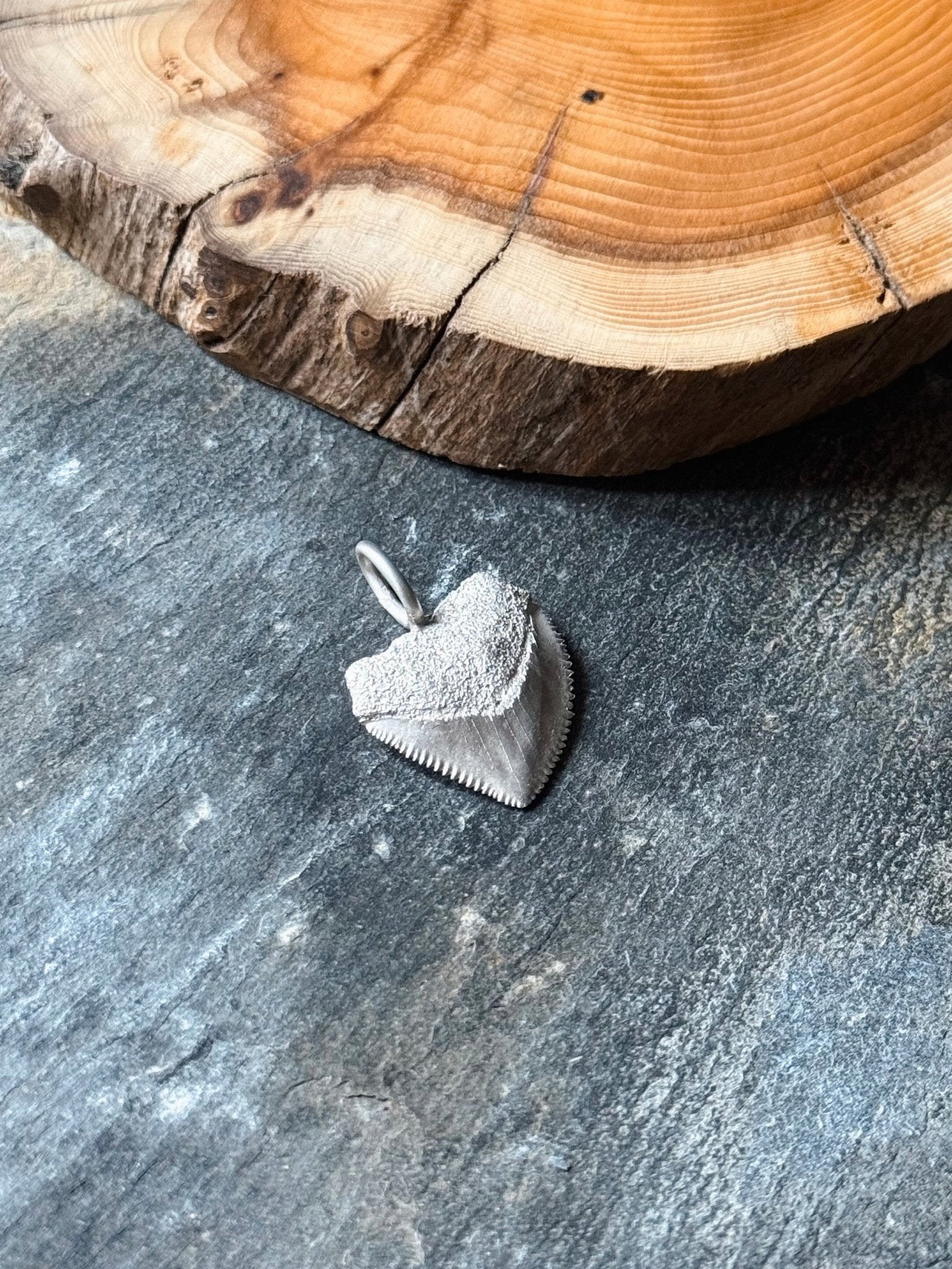 Crow Shark Tooth Talisman - Relic