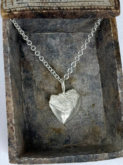 Crow Shark Tooth Talisman - Relic