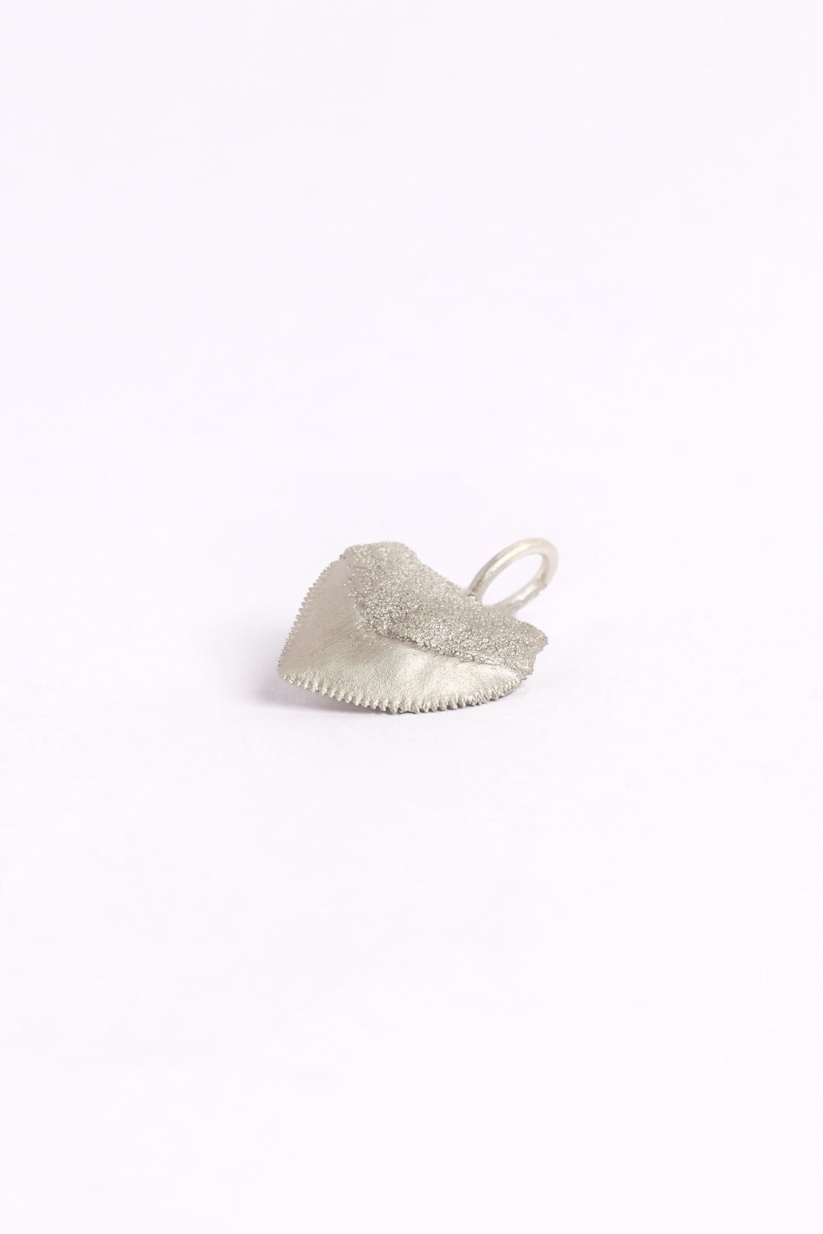 Crow Shark Tooth Talisman - Relic