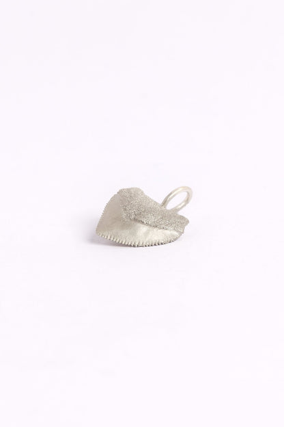 Crow Shark Tooth Talisman - Relic